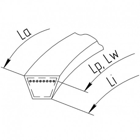 E63031 C-SECTION WRAPPED BELT
