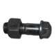 Bolt with shoe mounting nut