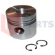 Finger & Ring Piston Perkins 68814[AVparts]