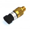 Pressure sensor Fendt, G716970020050[AGCO]